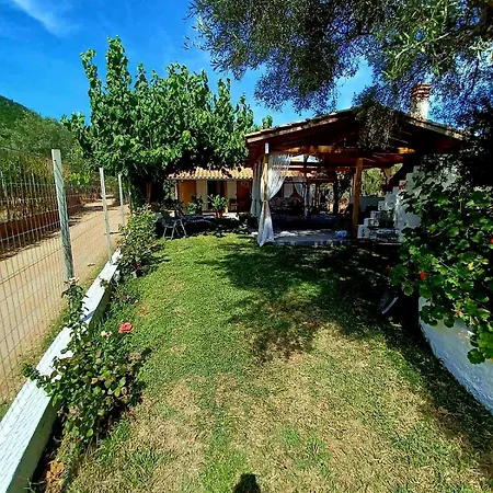Daire Andrea's House